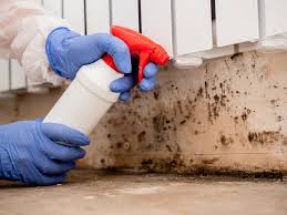 Best Air Quality Testing for Mold Spores  in Cudahy, CA